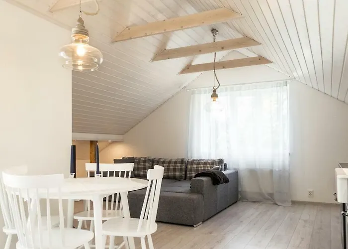 Best Stay- Paernu With Garden
